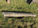 image of grave number 725148
